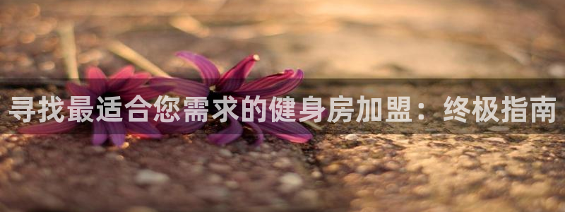 龙8国际玩家