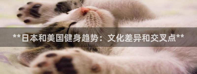 龙8国际long123