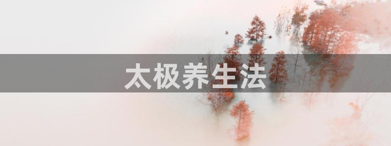 龙8国际官方网
