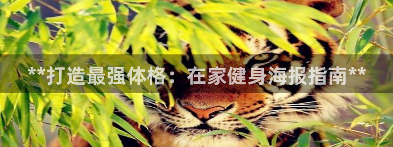 龙8国际最新官网