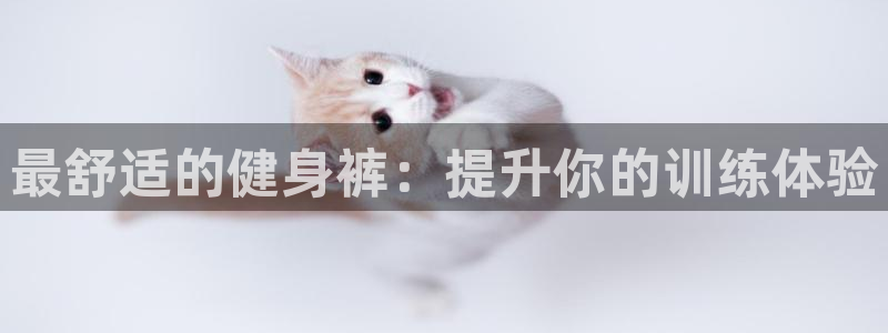 龙8全新客户端安卓版