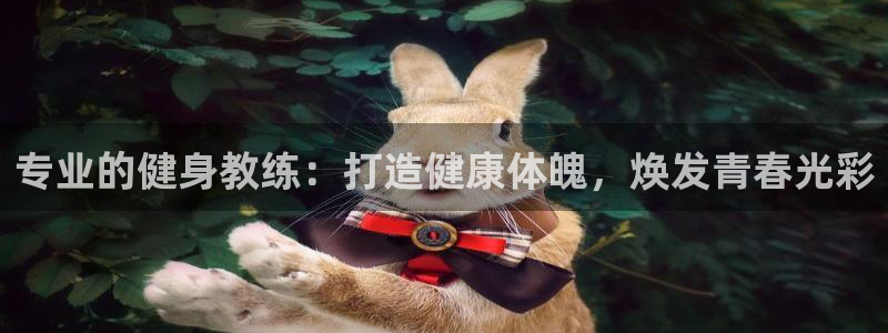 龙8国际app客户端下载不了