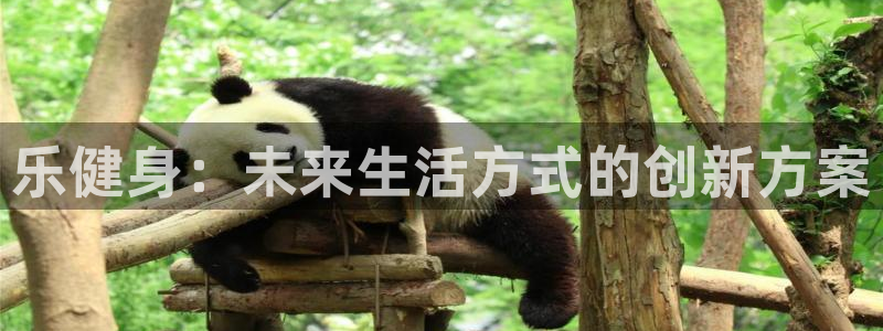 龙8国际在线
