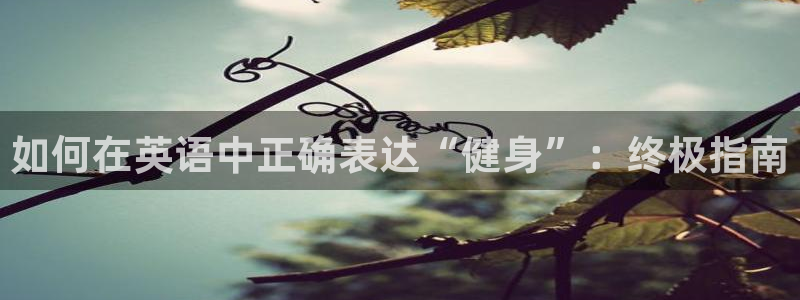 龙8国际娱首页