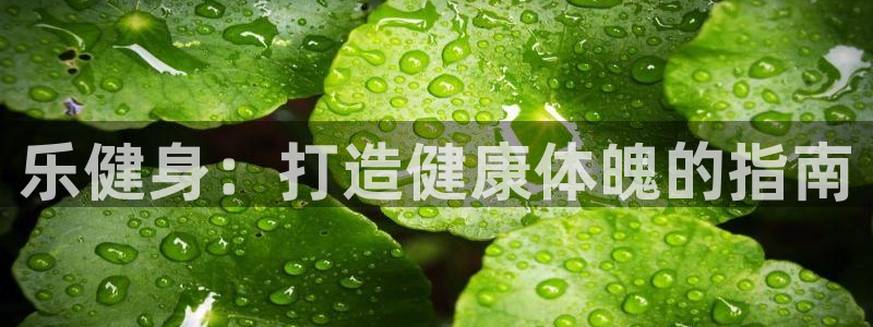 下载龙8国际