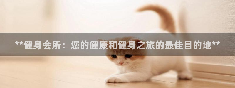 龙8国际服