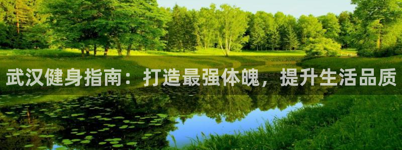 龙八国际官网下载