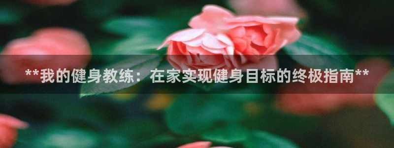 龙 八国际