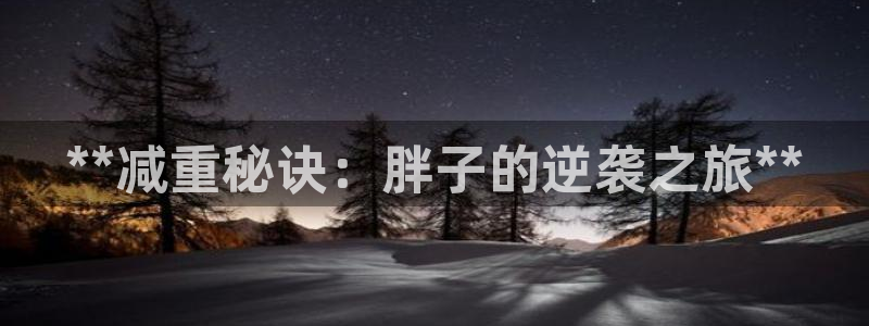 龙8国际pt网址官方