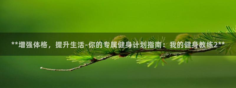 龙8国际是什么