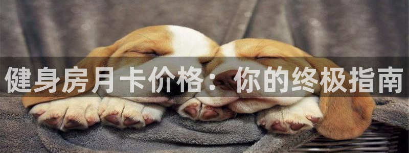 龙8-龙国际-long8-龙8游戏