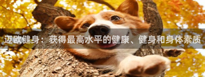 下载龙八国际官网