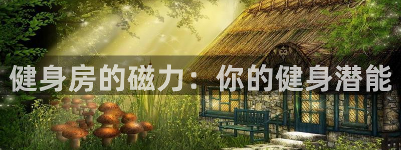 龙八国际城