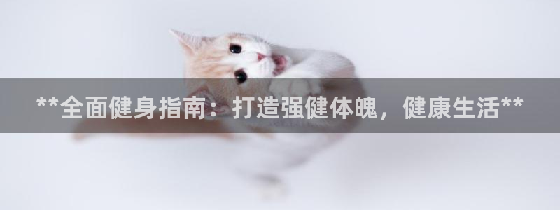 龙8国际下载