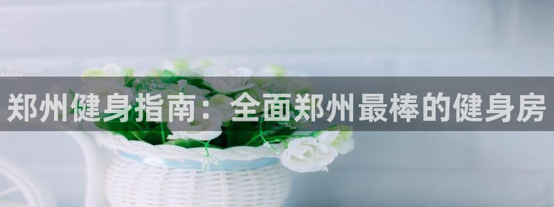 龙8棋牌官网