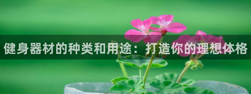 龙8国际唯一
