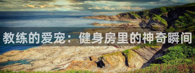 龙8官网在线试玩