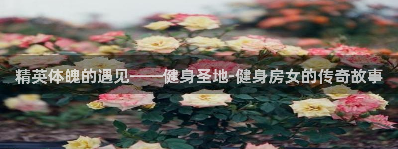龙8国际app客户端下载不了