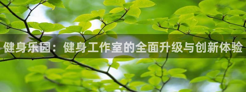 龙8国际棋牌