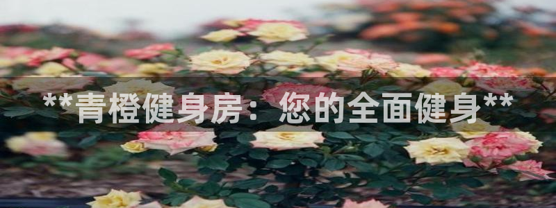 龙8国际long8