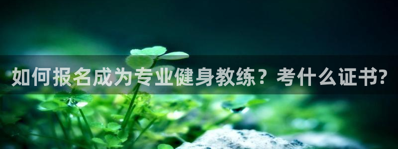 龙8官网国际