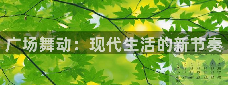 龙8官网国际