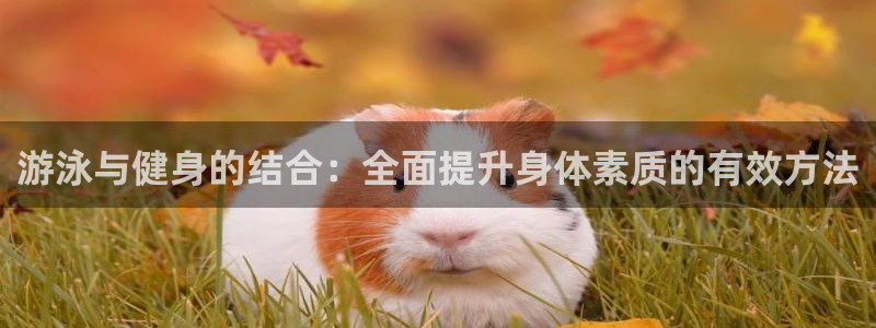 龙8国际游戏公司官网