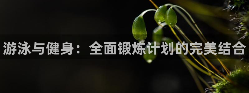 国际龙8hk