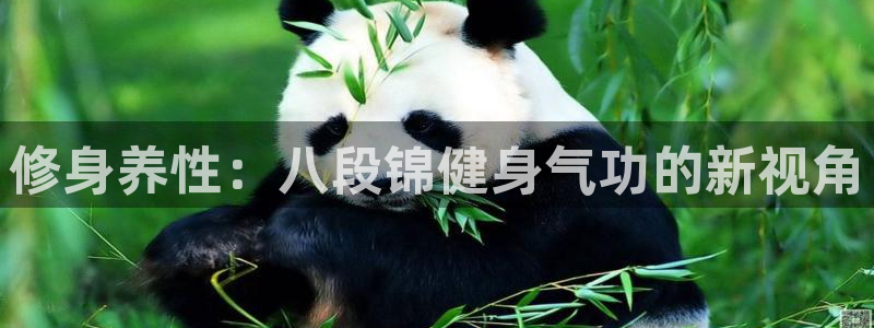 龙8国际手机版官网下载