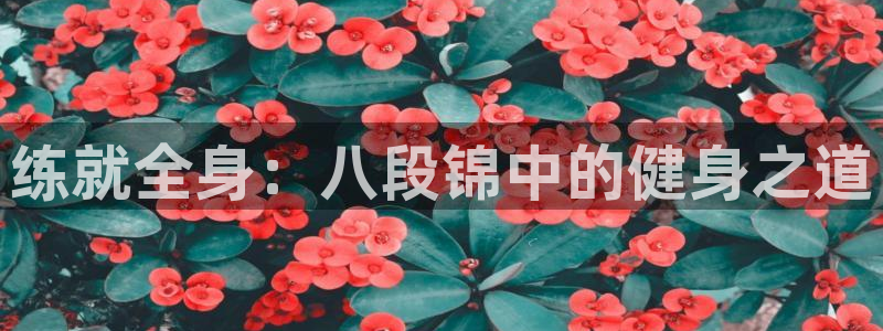 龙8国际pt官网