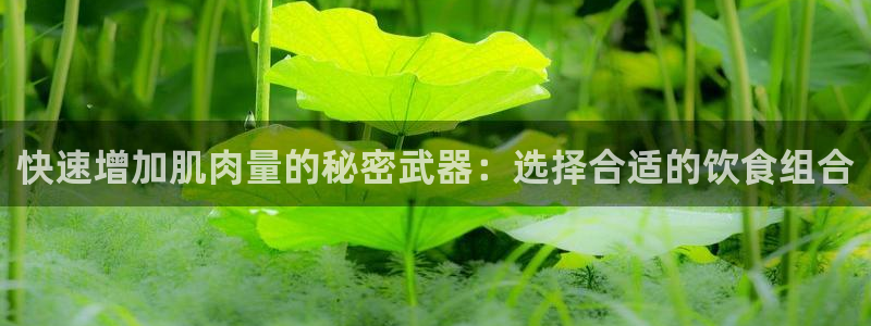 龙8官网国际