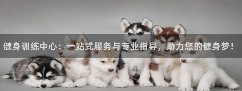 龙8国际龙8官方