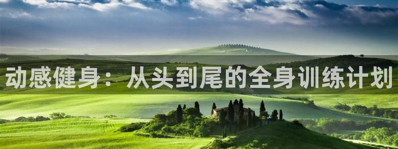 龙8国际安卓版版