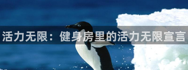龙8国际安卓版