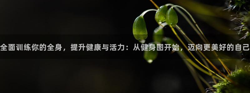 龙8棋牌平台