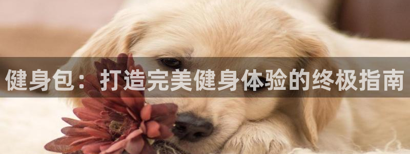 龙8国际官网首页
