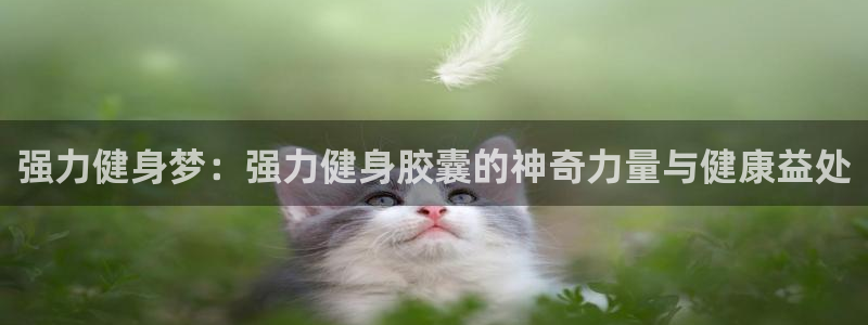 龙8国际游戏官网