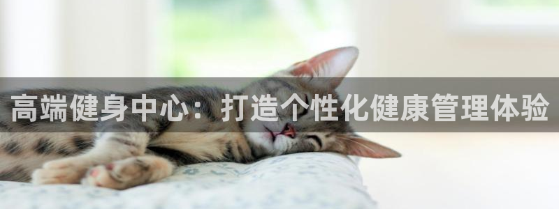 龙8国际现金