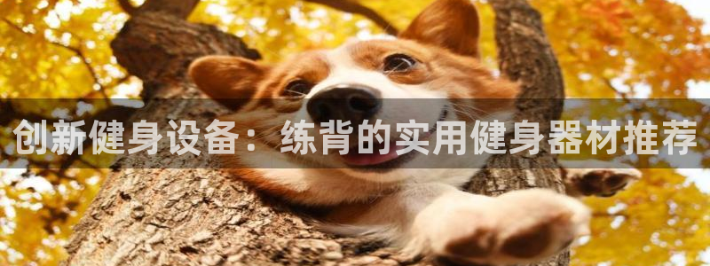 龙8老虎机网络游戏