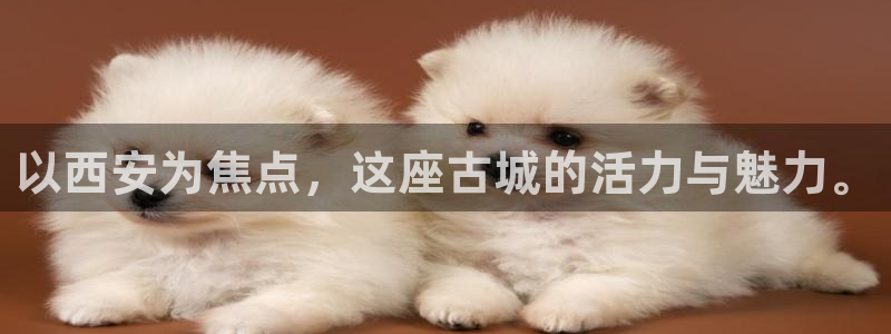 龙8国际官网-点此进入