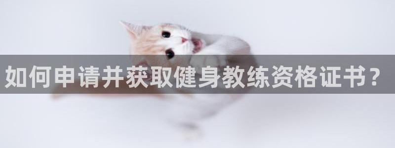 龙8国际官方网站